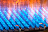Maesgwynne gas fired boilers